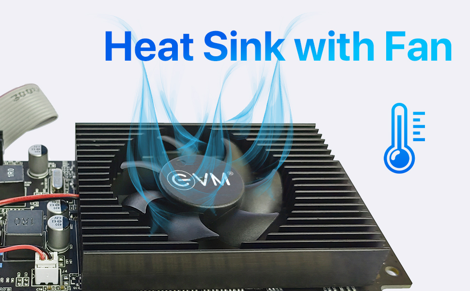 EVM GeForce GT610 Graphics Card GPU | 2GB DDR3 | PCIe 2.0 | HDMI VGA DVI | 1080p Full HD | Heat Sink Fan Cooling | Low Profile | Desktop Compatible | Stable Performance | 3 Year Warranty (EVM-GT610)