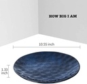 vicrays-ceramic-dinner-plates-set-105-in-2.jpg