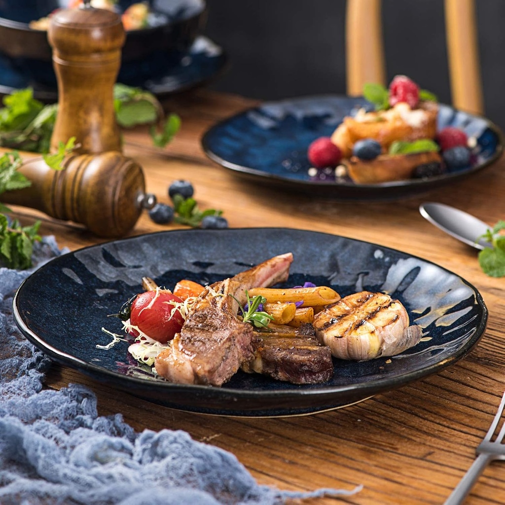 vicrays-ceramic-dinner-plates-set-105-in-4.jpg