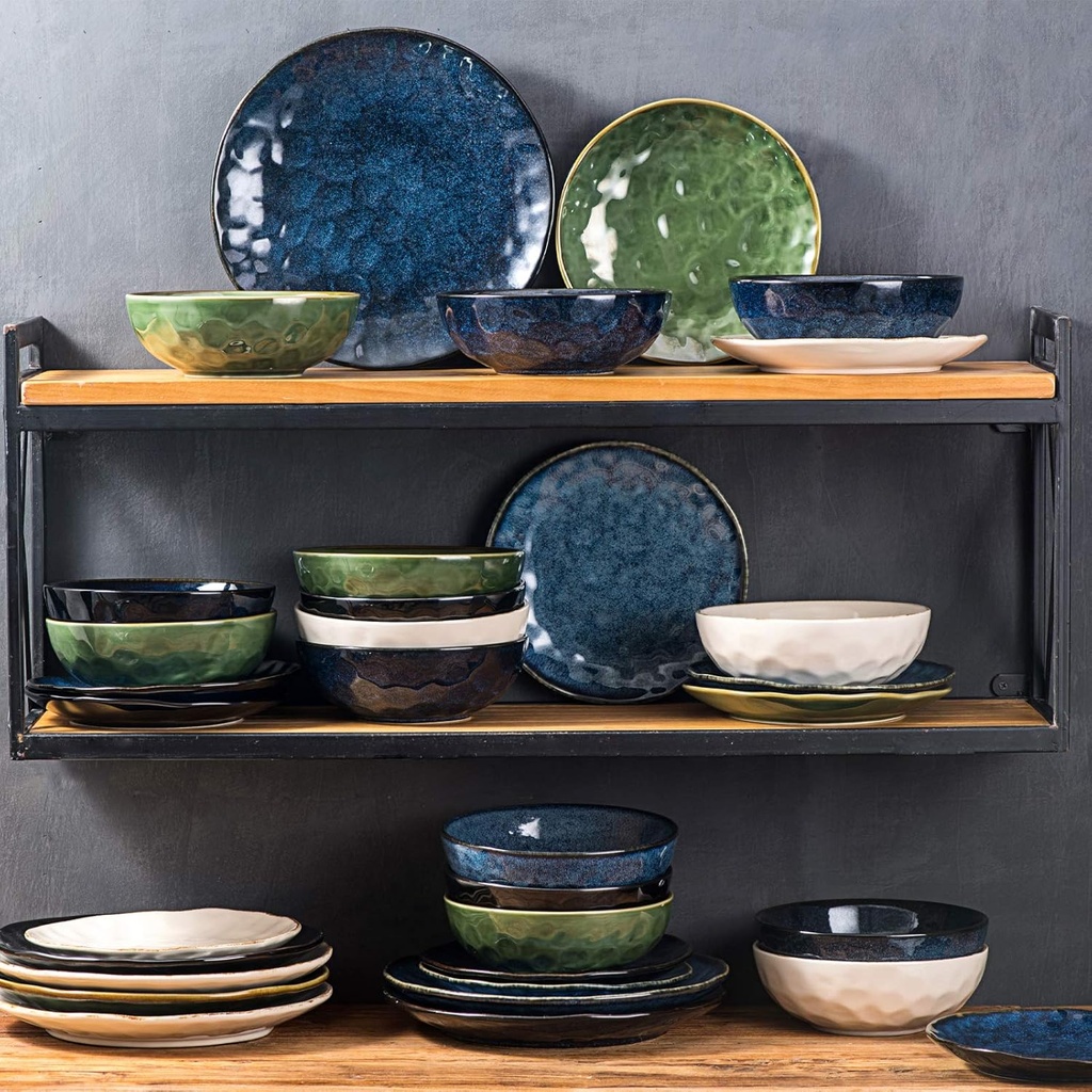 vicrays-ceramic-dinner-plates-set-105-in-6.jpg