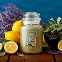 yankee-candle-sage-citrus-scented-classi-2.jpg