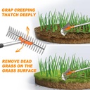 64ft-thatch-rake-15-inch-dethatcher-19-s-3.jpg
