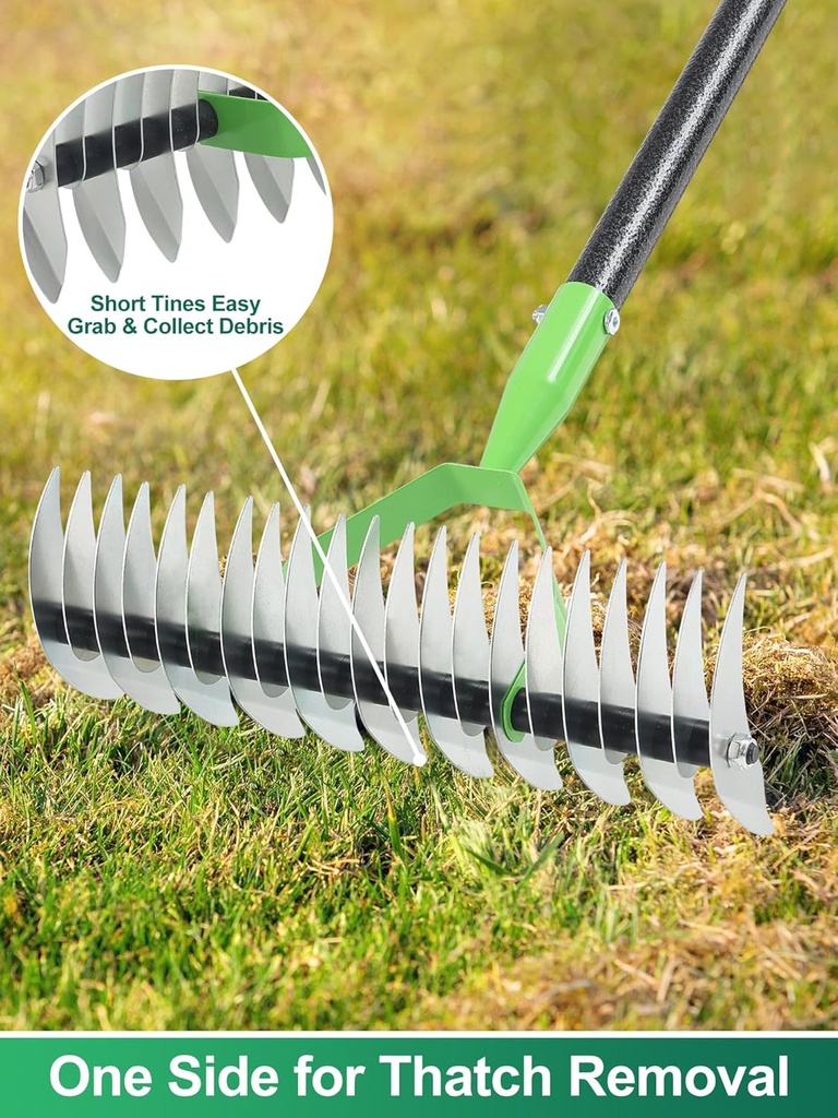 thatch-rake-67-garden-dethatcher-rakes-f-3.jpg
