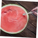 watermelon-cube-gadget-fruit-scoop-diggi-2.jpg
