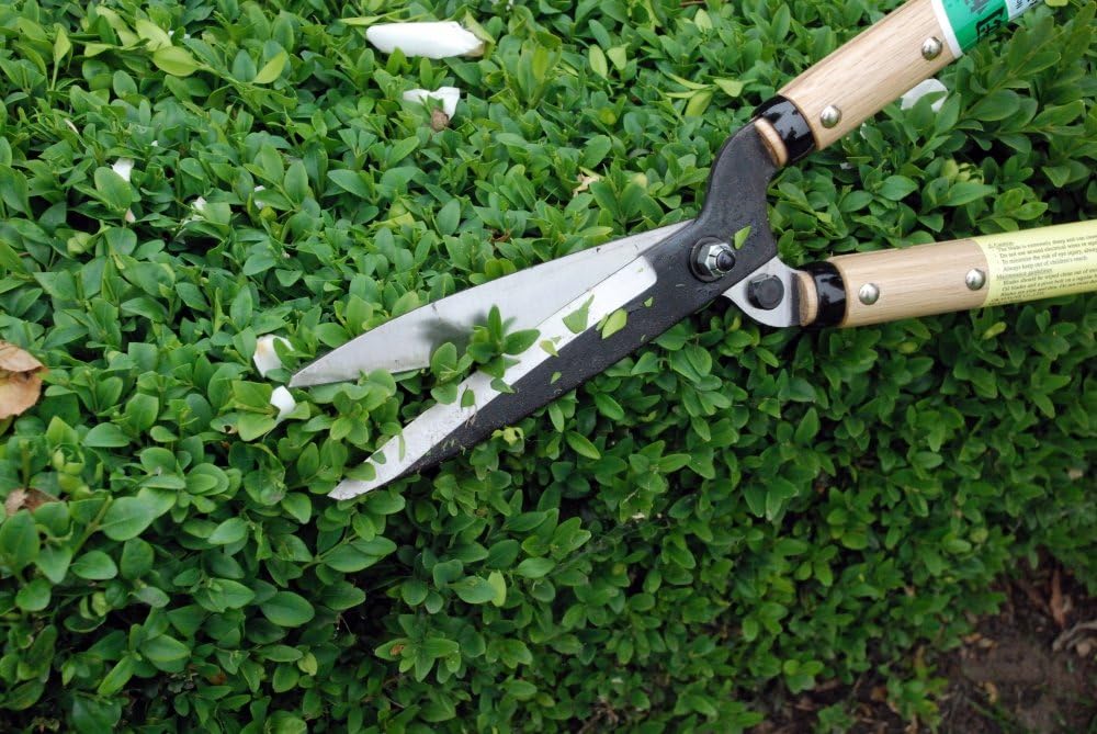 okatsune-precision-hedge-shears-6-blade--3.jpg