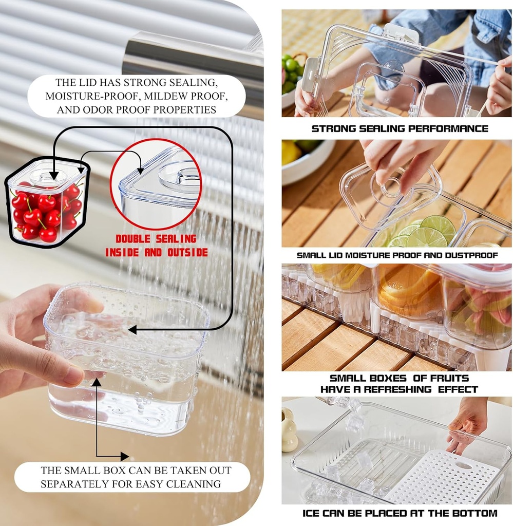 snack-box-container-with-ice-packdivided-5.jpg