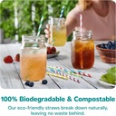 gusto-200-pack-striped-paper-drinking-st-5.jpg