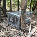 gingbau-chipmunk-trap-humane-live-mouse--6.jpg