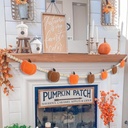 dazonge-thanksgiving-decorations-for-hom-5.jpg