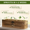 avergo-bonsai-tree-kit-for-beginners-5x--4.jpg