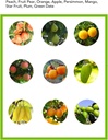 fruit-picker-basketfruit-picker-head-bas-2.jpg