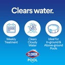 clorox-poolspaTM-swimming-pool-crazy-cla-4.jpg