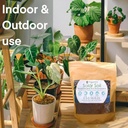 solar-soil-vermicompost-soil-amendment-f-2.jpg