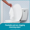 medline-readyflush-flushable-wipes-60-wi-2.jpg