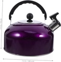 stainless-steel-kettle-drum-electric-tea-2.jpg