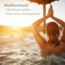 leisure-time-e5-spa-56-chlorinating-gran-3.jpg