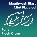 dentek-fresh-clean-floss-picks-for-extra-6.jpg