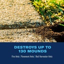 bioadvanced-fire-ant-killer-dust-1-lb-13-3.jpg