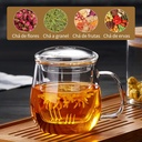 unbreakable-glass-tea-cup-with-infuser-a-4.jpg