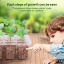 bonviee-5-pack-seed-starter-trays-seed-s-2.jpg