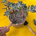 mini-gardening-tools-set-for-kids-3-piec-4.jpg