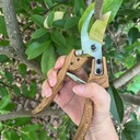 bypass-pruning-shears-scissors-25mm098-b-6.jpg