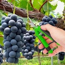 15-pack-65-inch-green-garden-pruning-sci-5.jpg