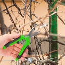 15-pack-65-inch-green-garden-pruning-sci-6.jpg