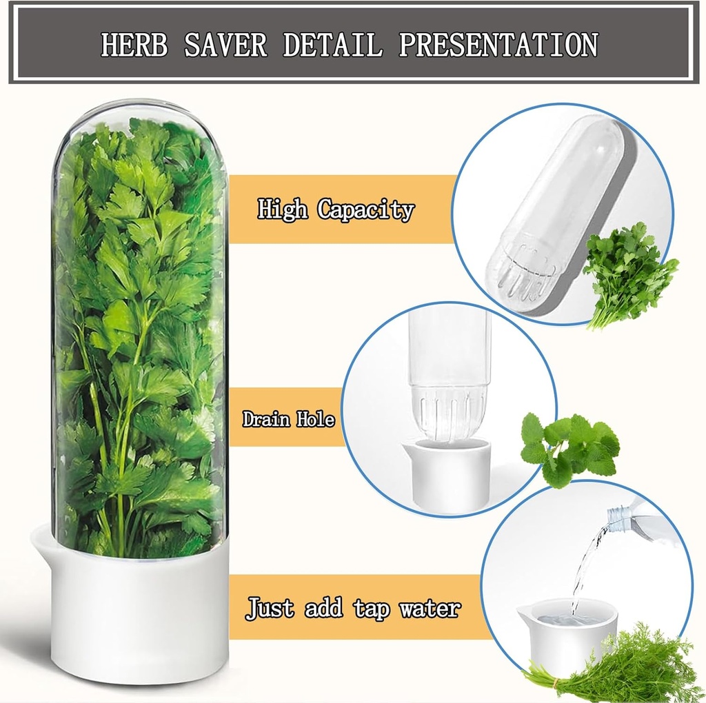 herb-saver-for-refrigerator-fresh-herbs--5.jpg