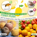 qualirey-6-pack-fruit-fly-trap-refill-li-4.jpg