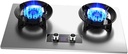 Countertop/Built-in Gas Cooktop,17742 BTU Two Burner Stainless Steel Gas Stove,Easy to Clean,Suitable fFor Home Commercial(LPG)(NG) (Size : NG), 18648
