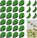 QRWT 30 Pieces Plant Climbing Wall Fixture Clips Self-Adhesive Plant Fixer Invisible Wall Vines Fixing Clips Hook Plant Vine Traction Cable Wire Fixing